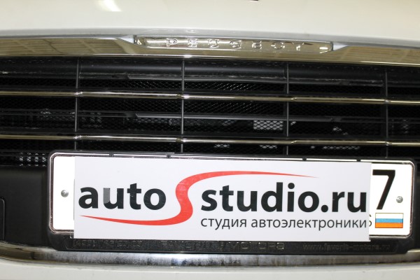 Установка защитной сетки радиатора на Peugeot 3008
