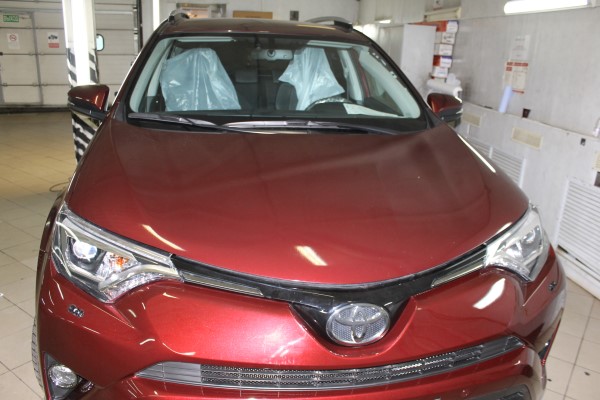 Установка защитной сетки радиатора на Toyota Rav4 