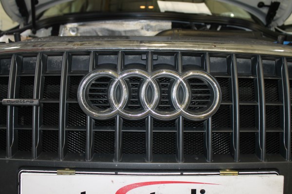 Установка защитной сетки радиатора на Audi Q3