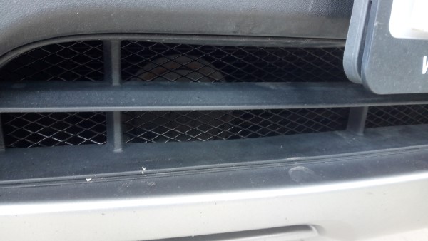 Установка Защитной сетки радиатора на Hyundai Santa Fe