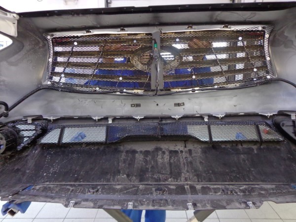 Защитная сетка радиатора на Infinity FX