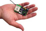 Piligrim GSM/GPS